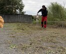 庭の草刈高枝切りから山林の伐倒までプロが解決します 最新機材で安全・迅速に！お庭の草刈りから山林伐採まで解決 イメージ9