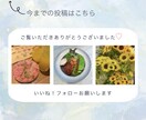 Instagram運用代行致します 投稿、いいね！ストーリーなど全てお任せください。 イメージ2