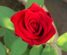 心の糸を紡ぐ縁結びヒーリングをします 大切な縁を結び直し、未来へ繋ぎます イメージ9