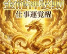 金龍神波動仕事運覚醒人生に金脈が流れ出す調律します 金龍神波動が金脈を呼び覚ます　成功の流れを一気に開く覚醒調律 イメージ11