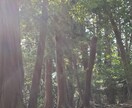 占い師・ライトワーカーなど同業者様☆相談に乗ります 練習相手、仕事の悩み、分かち合いたい話など何でもOK☆ イメージ10