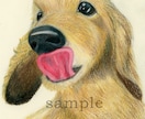 ペット、動物のイラストを色鉛筆で描きます リアルな動物画を色鉛筆で描きます イメージ1