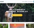 30日間ペライチのホームページ修正サポートをします 1ヶ月間の修正サポートで高品質のペライチホームページに。 イメージ9