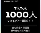 TikTokフォロワー1000人〜増やします TikTokフォロワー宣伝・拡散！増加確実！最安圏！ イメージ1