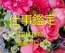仕事✤転職✤適職✤起業☆四柱推命鑑定で導きます 転職☆適職☆起業☆人間関係のお悩み☆真心で応えます イメージ1