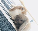 悩み、愚痴、恋愛相談、何でも聞きます 日頃の相談なんでも受け付けます イメージ2
