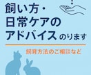 エキゾチックアニマルのお悩み相談お伺いします どんなペットの相談でもOKです イメージ8