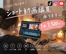 広告動画◎リール動画◎ショート動画編集します TikTok・Instagram・YouTube イメージ1