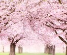 3往復で恋愛をじっくり鑑定を行います 質問しながら深掘りできます/今後の流れと対策もお伝え イメージ1