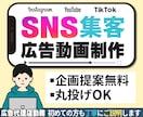 集客・販促用のショート動画広告を制作します ※ご相談時に企画提案まで可能です イメージ1