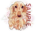 愛犬のオーダーメイド似顔絵描きます うちの子グッズ制作にもピッタリ！ イメージ1