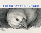 ペットの似顔絵を手描き原画で制作します お写真をもとに、ハガキサイズのペット肖像画を制作いたします。 イメージ1