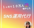 総フォロワー20万人の私があなたのSNS伸ばします 特別価格。時間のかかる作業を請け負います！ イメージ2