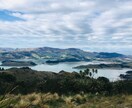 ワーホリ・旅行・海外移住相談受け付けます オーストラリア、ニュージーランドの特徴やリアルな情報提供 イメージ2