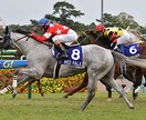 今週の競馬重賞予想します スプリンターズSとシリウスS当てたい方へ！ イメージ3