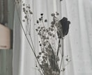 写真を映えるようによりよく加工します 時間がない！早くSNSに投稿したいあなたに！写真加工お任せ！ イメージ3