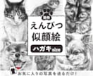お家の猫ちゃんわんちゃん鉛筆で描きます 【現在170枚】原画＋画像データお届け！ イメージ1