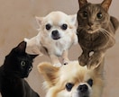 愛犬愛猫の写真でオリジナル壁紙をお作りします 世界にひとつ、愛するペットの特別デザイン壁紙 イメージ3