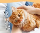 いざという時どこへ向かえばいいのか調べます 家族とペットを守る「地域別避難先リスト作成」サービス イメージ6