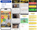 ペライチサイトの修正・改善をプロが対応いたします 文章変更・デザイン修正・コーディングまでまとめて迅速に対応！ イメージ10