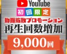 Youtube再生回数『+9,000～』増加します 世界中のに拡散・宣伝　ユーチューブ再生増加サービス イメージ1