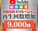 Youtube再生回数『+9,000～』増加します 世界中のに拡散・宣伝　ユーチューブ再生増加サービス イメージ1