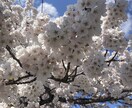 あー！もー！や愚痴や聞き上手の旦那がお聞きします 貴方のあー！もー！むかつく！を吐き出してすっきりしませんか？ イメージ2