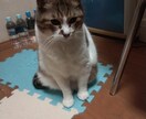初心者向けカラオケ講座を開きます カラオケ上手くなりたい方は是非一緒に練習しましょう‼️ イメージ4