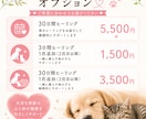 大切なペットへ3日間、1日2回ヒーリングします 大切な家族へ、心を込めて3日間寄り添います イメージ5