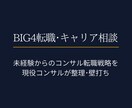 BIG4転職｜キャリア戦略を整理します 現役コンサルがSIer・事業会社出身者の転職を言語化 イメージ1