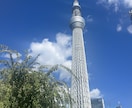 東京観光を失敗させない！タイパ×グルメ旅作成します 迷わない移動＆行列回避で最高の東京体験を！Mapピン付 イメージ3