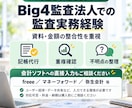 100行まで3000円で記帳代行します Big4監査法人での監査実務経験を記帳に活かします イメージ3
