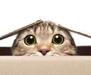 あなたの心の中の気持ちすべて受け止めます 10分限定自由に話してください！力になれるかと思います！ イメージ1