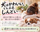 犬を飼って疲れてしまったあなたのお話を聴きます 愛犬が可愛くないと感じる飼い主さんの居場所 イメージ1