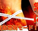 限定5名募集！ケトダイエットモニター募集します 1ヶ月で−10kg。運動なし・食事指導で着実に結果を出す イメージ3