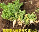 寂しい時、悲しい時、嬉しい時、なんでもお聴きします 話したい時はニコお母さんが待ってるよ イメージ3