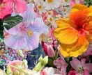 男性限定♡男性同士の友情・関わり方を一緒に考えます 〜男性同士の友情を語れる安心相談〜 イメージ1