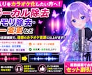 ボーカル除去・抽出・キー変更など音源編集します プロ歌手への提供実績あり◎【先着5名様】は500円引き‼️ イメージ3