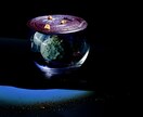 一枚でブランドの世界観を表現、撮影します スタイリングもお任せ。写真一枚でブランドの印象を変える写真を イメージ6