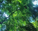 あなたの気持ちを大切にゆっくりお話お聞きします 心が楽になりますように(* u.u)安心して話せる場所です イメージ6