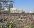 健康業界でセラピストとして15年の経験を話します 温活を通した健康法のプロが語るあなたにあった健康法を教えます イメージ2