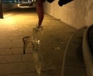 ワンコインで釣りを始めたい方に適切な方法を教えます 釣りをしたいけど始め方がわからない…そんな方の相談窓口です! イメージ2