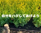 1分からOK!メンタル疾患当事者が相談に乗ります 選べるチャット相談サービスで気軽に相談 イメージ9
