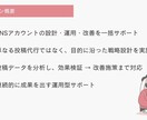 限定価格｜SNS運用＆動画投稿をまとめて代行します SNS運用の実績拡大中！1月迄限定で“特別価格”にてご提供 イメージ2