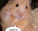 どんな文章でも自然な韓国語で翻訳します 日本留学3年、日韓恋愛3年歴持ちの韓国人がするネイティブ翻訳 イメージ1