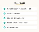 スピード対応！切り抜きショート動画作成しますます 長尺動画を見やすいショートに｜スピーディー＆丁寧に対応します イメージ3