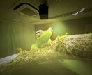 VRゴーグル不要の全員参加型VRを提案します 360°動画再生に最適なVRプロジェクターを使用したイベント イメージ5