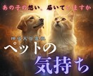 天啓霊視｜ペットの気持ちとメッセージをお伝えします ご存命の子も、虹の橋の子も対応します イメージ1