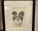 ペットの似顔絵描きます 愛ペットの似顔絵いかがですか？原画お送ります！ イメージ4