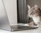 1か月間【売上改善】自社ECの運営サポートします 古いhtml構造の見直しから最新のSEO、広告運用まで対応可 イメージ1